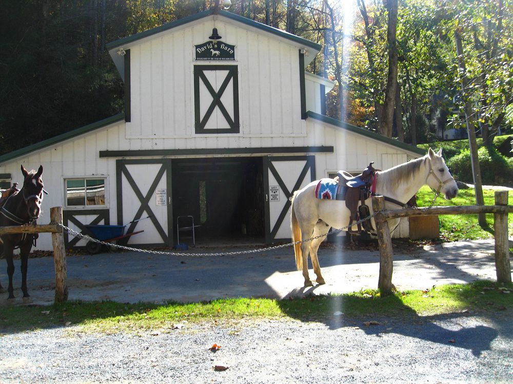 Valle Crucis Farm Luaran gambar